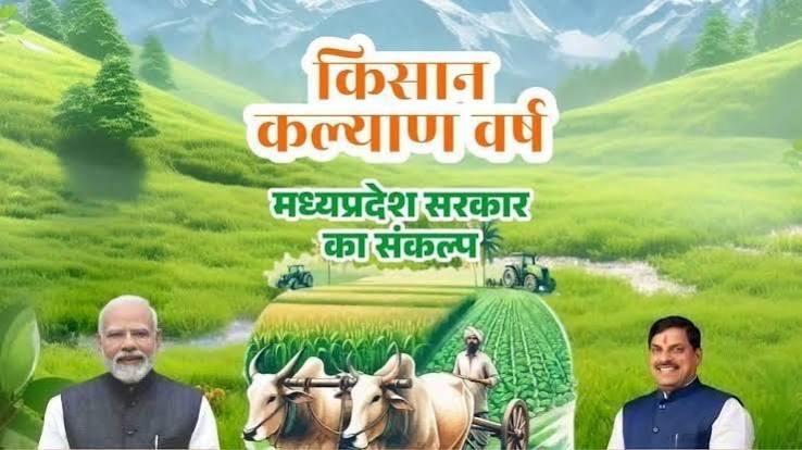 प्रदेश में साढ़े 3 लाख मेट्रिक टन मूंग की खरीदी मुख्यमंत्री डॉ. यादव ने की मूंग खरीदी की समीक्षा